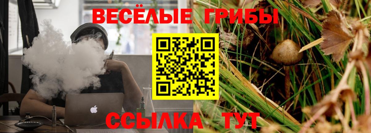 Псилоцибиновые грибы GOLDEN TEACHER Чайковский